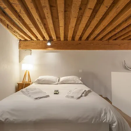 Clublord - Beautiful Loft Canut Hyper Center Lyon