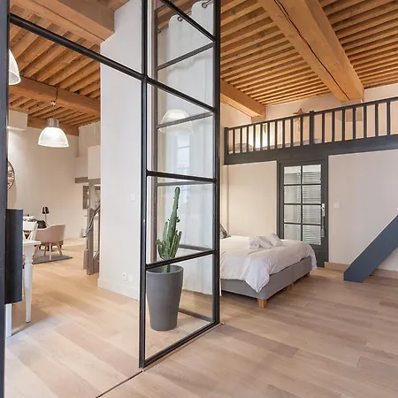 Clublord - Beautiful Loft Canut Hyper Center * Lyon