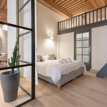 Clublord - Beautiful Loft Canut Hyper Center Appartement *